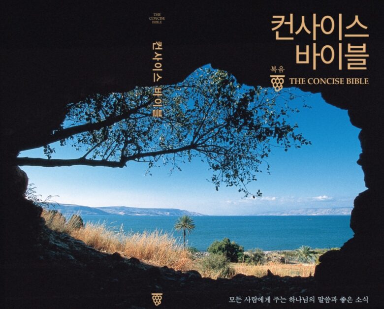 The Concise Bible book cover - a special book containing the core message of the Bible